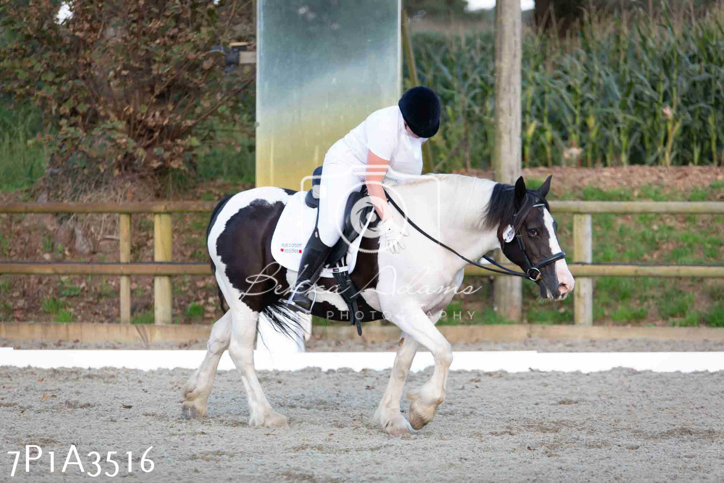 JHOYS 2023 - 8th September - Dressage