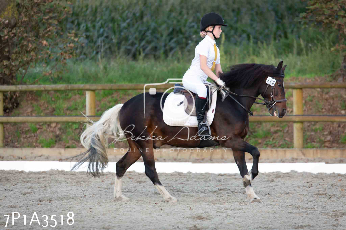 JHOYS 2023 - 8th September - Dressage