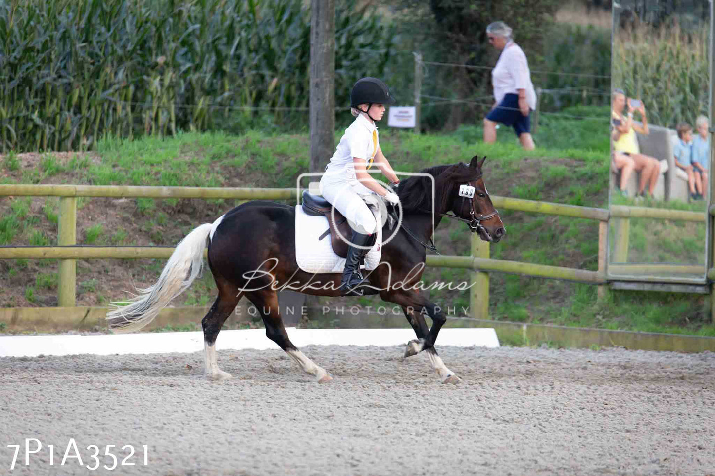 JHOYS 2023 - 8th September - Dressage