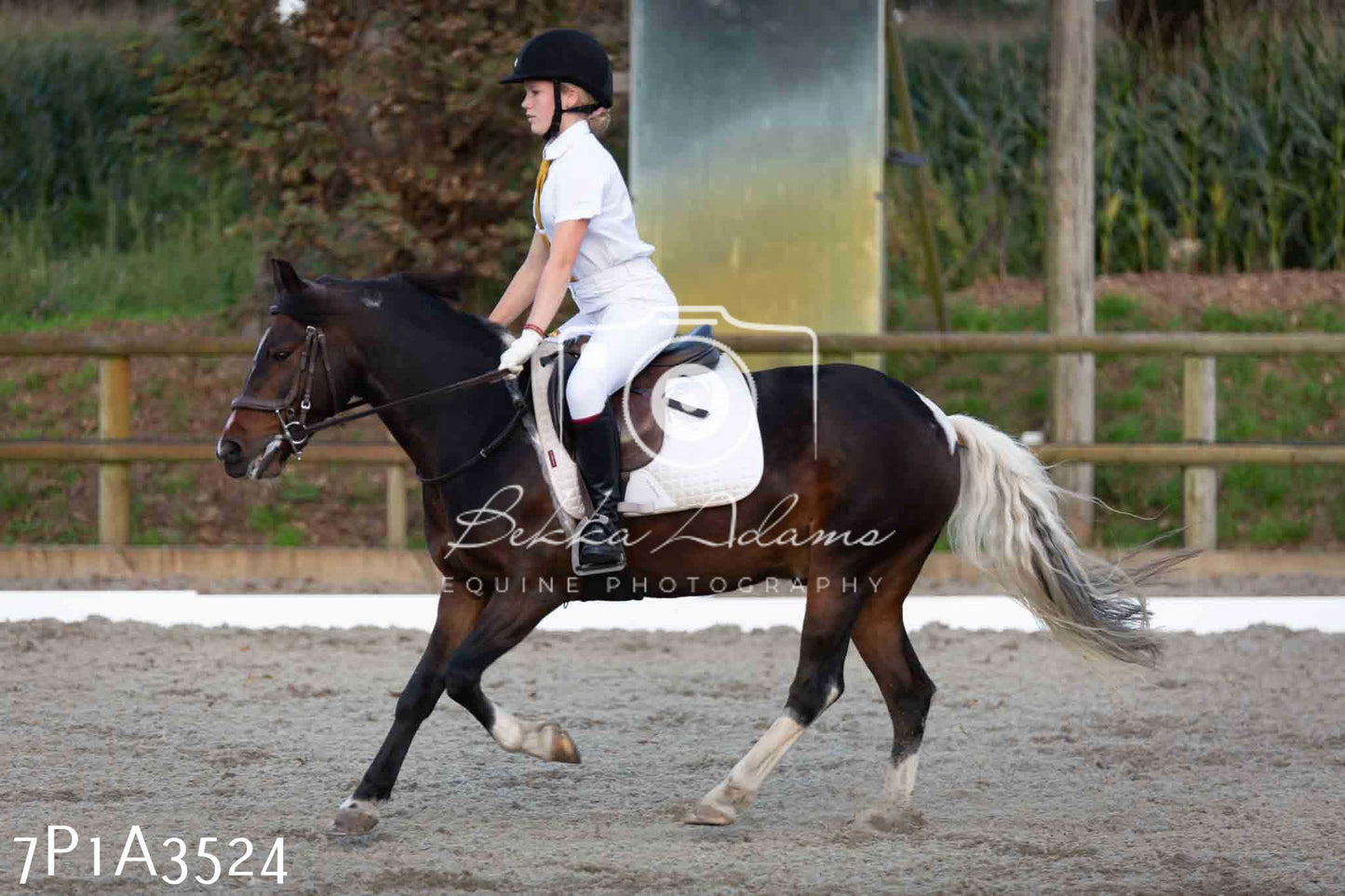 JHOYS 2023 - 8th September - Dressage