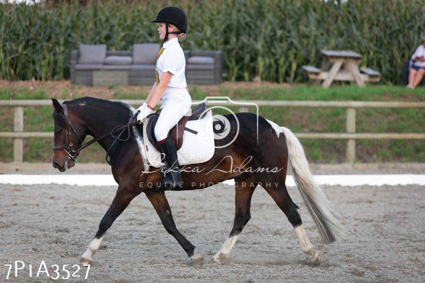 JHOYS 2023 - 8th September - Dressage