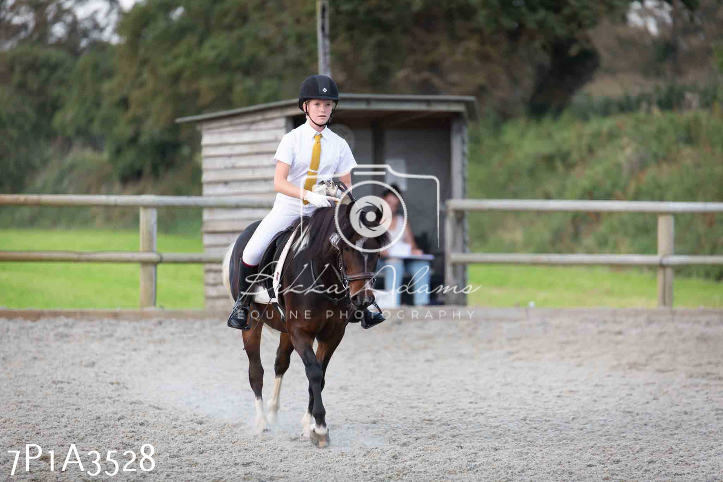 JHOYS 2023 - 8th September - Dressage