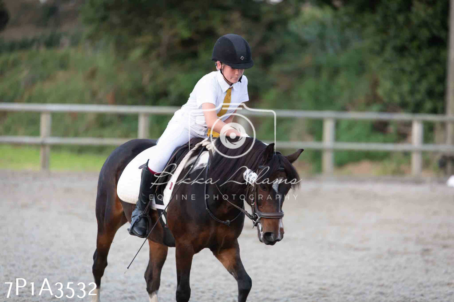 JHOYS 2023 - 8th September - Dressage