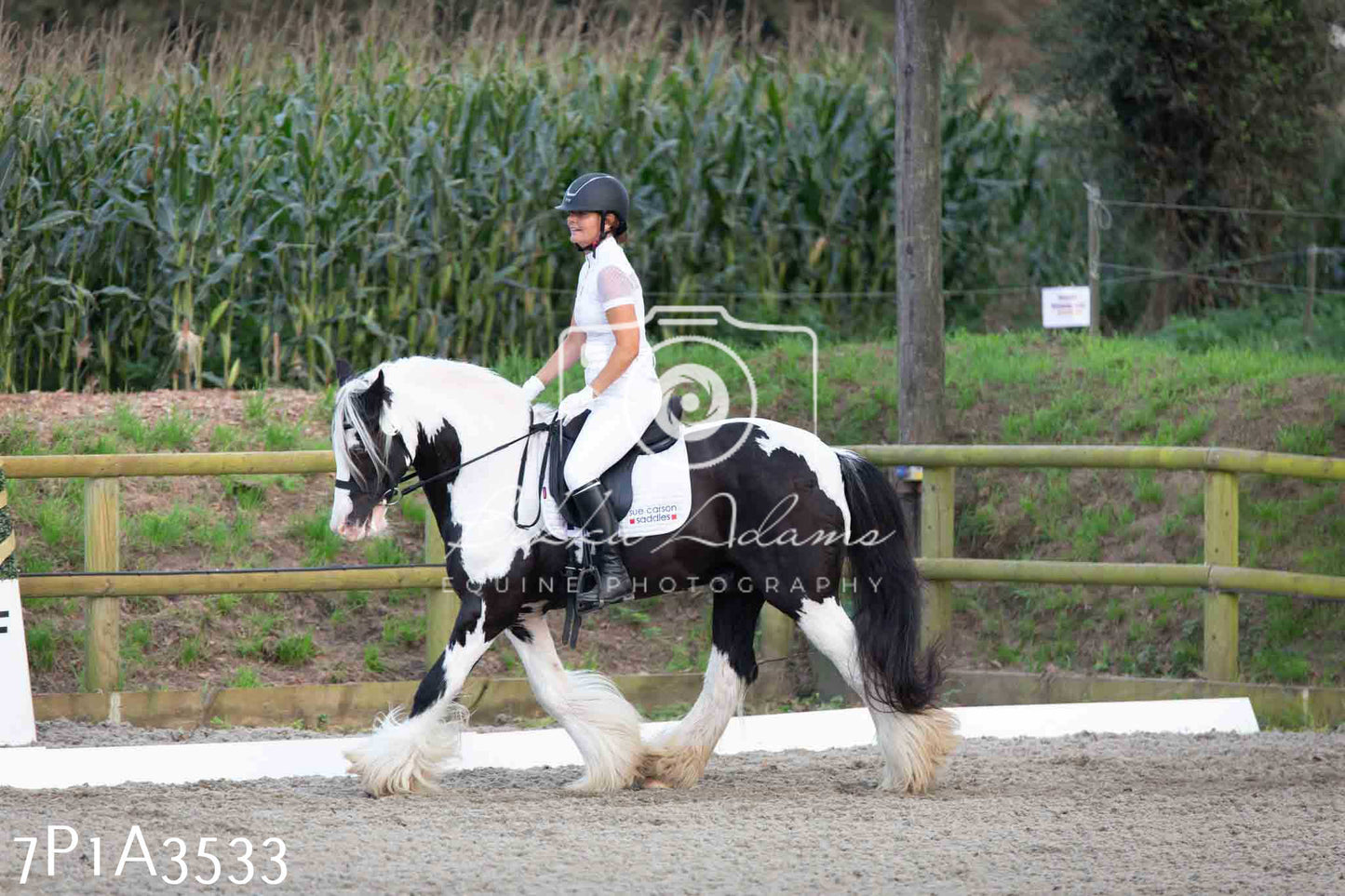 JHOYS 2023 - 8th September - Dressage