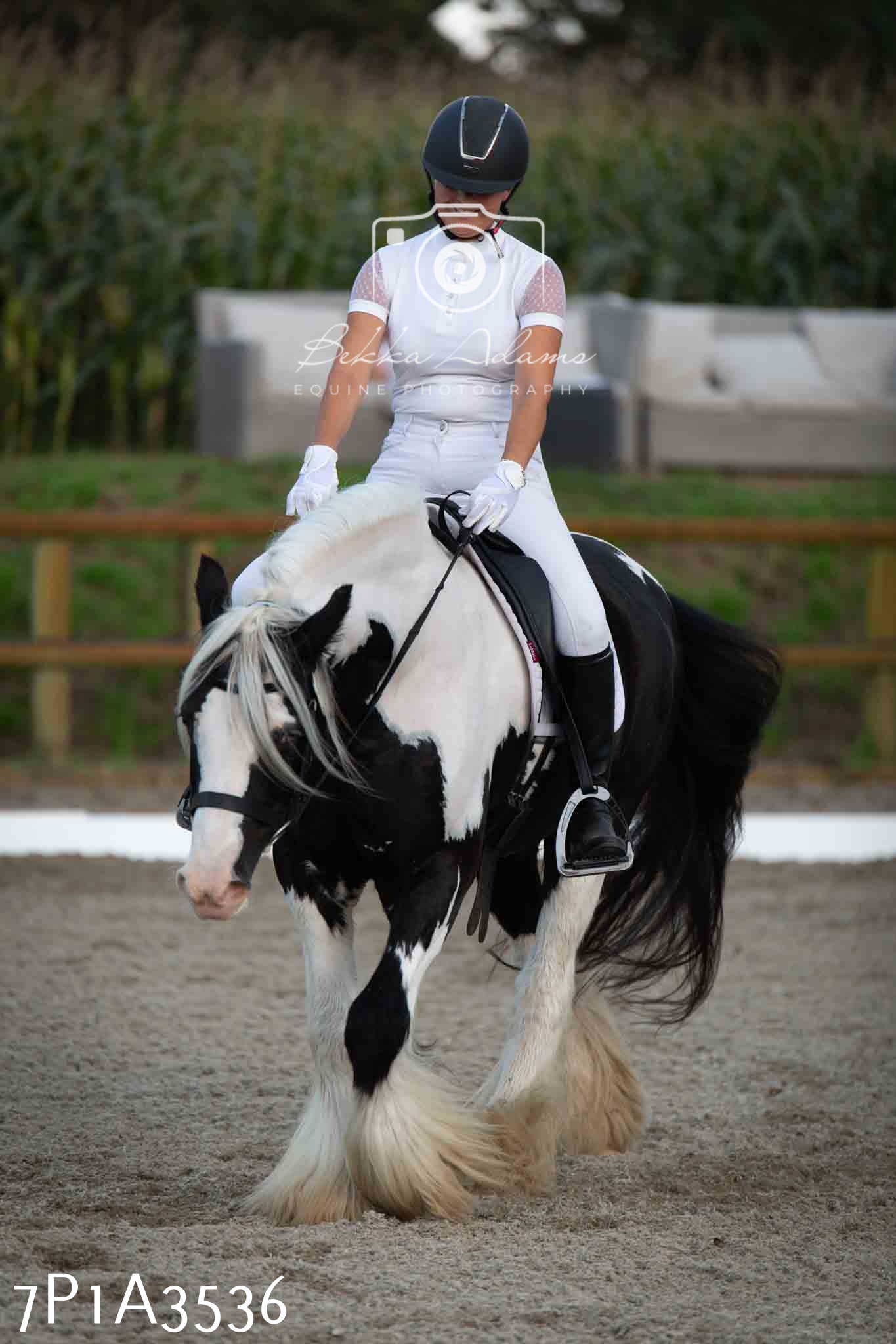 JHOYS 2023 - 8th September - Dressage
