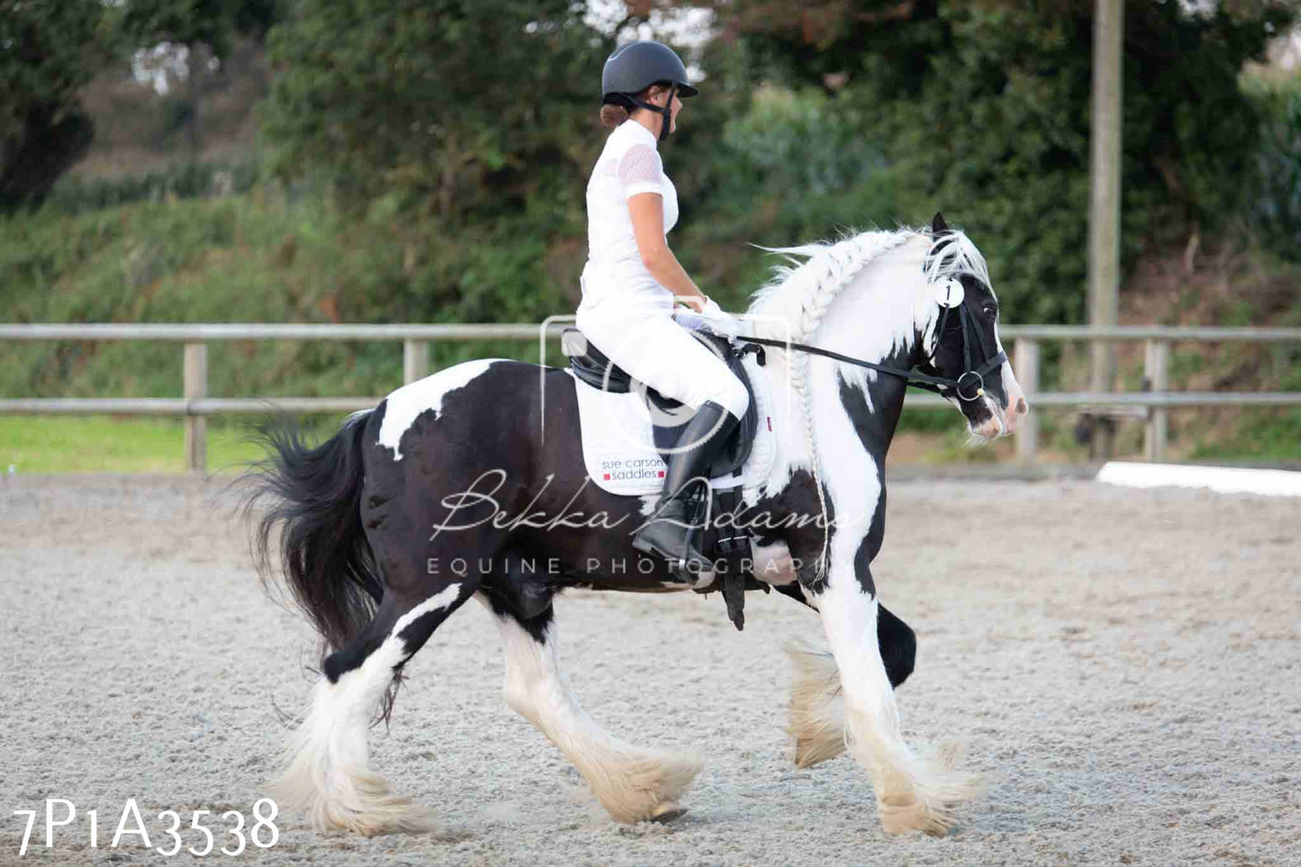 JHOYS 2023 - 8th September - Dressage