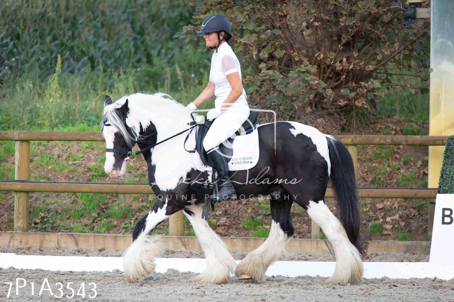 JHOYS 2023 - 8th September - Dressage