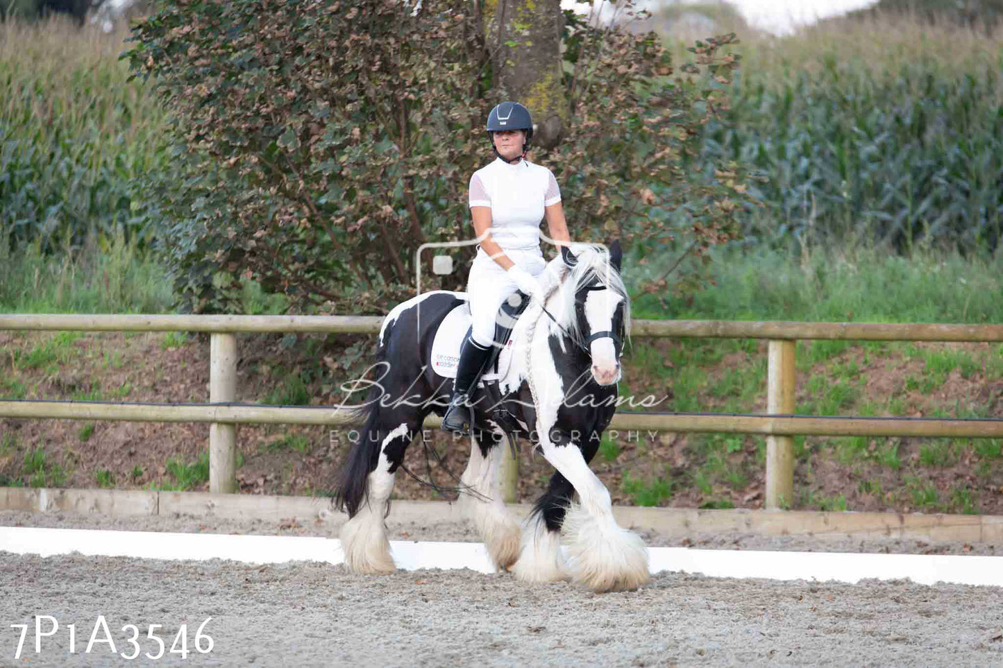 JHOYS 2023 - 8th September - Dressage