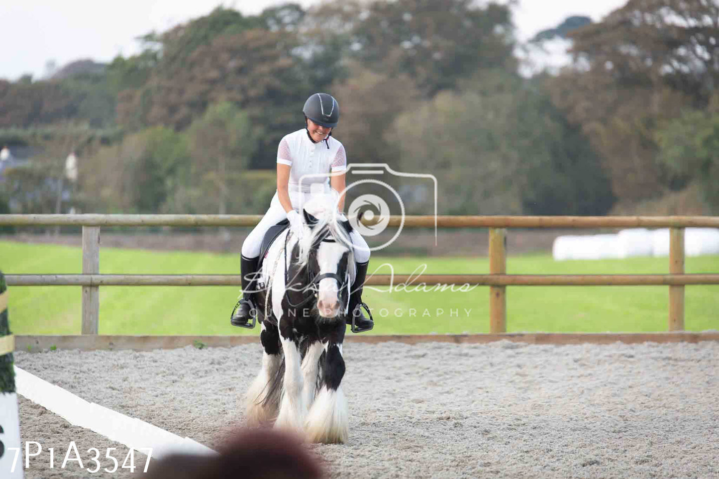 JHOYS 2023 - 8th September - Dressage