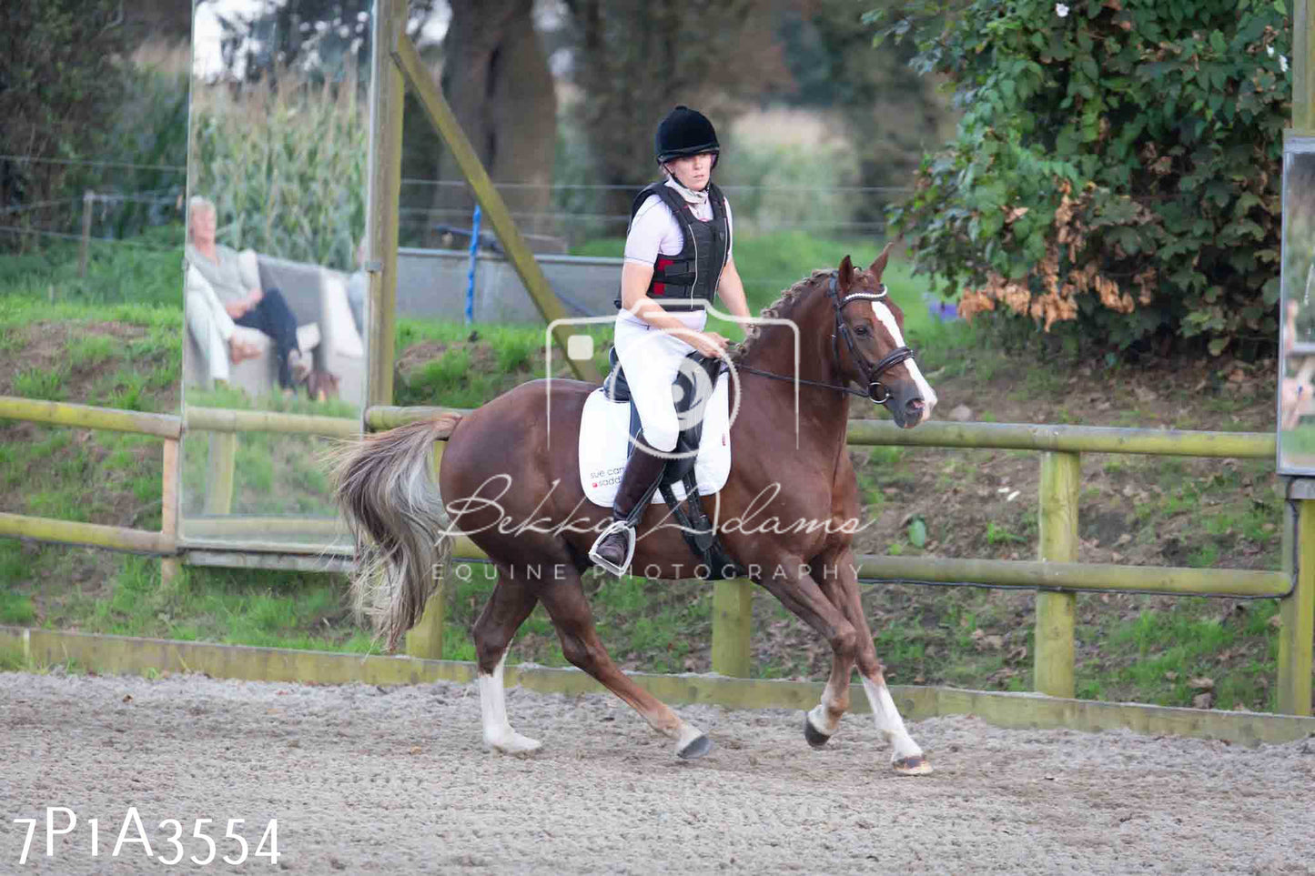JHOYS 2023 - 8th September - Dressage