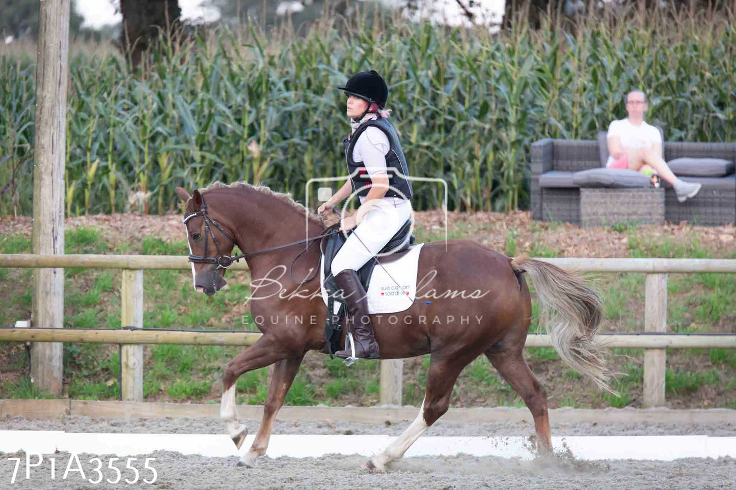 JHOYS 2023 - 8th September - Dressage