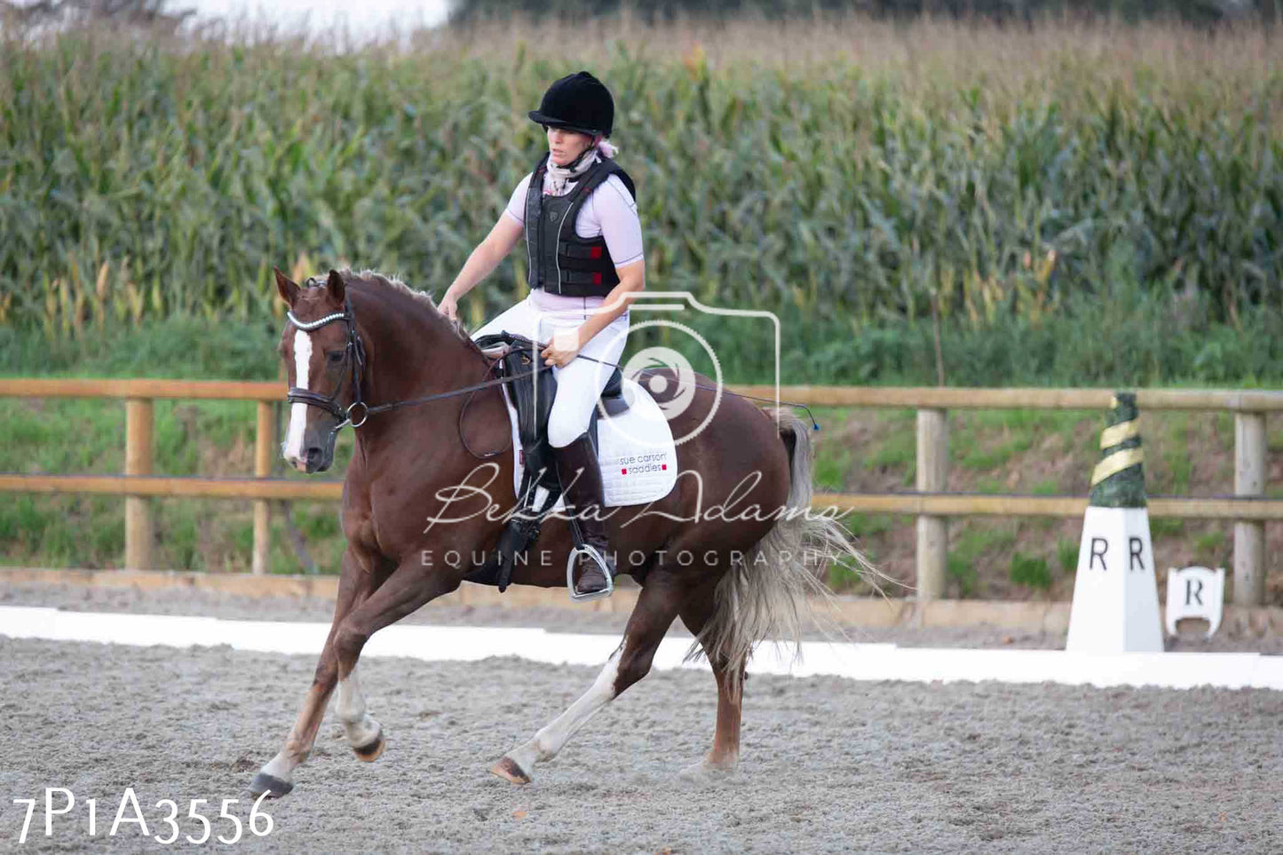 JHOYS 2023 - 8th September - Dressage