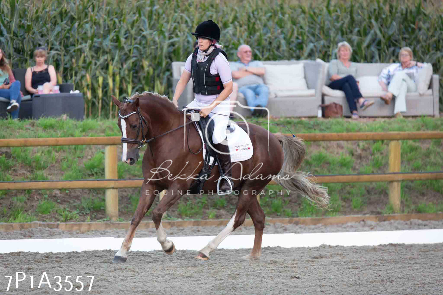 JHOYS 2023 - 8th September - Dressage