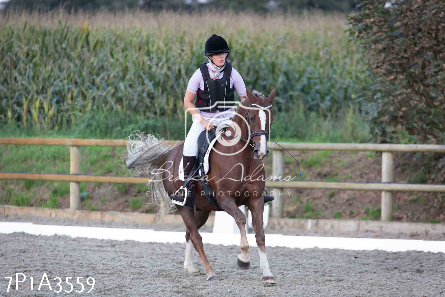 JHOYS 2023 - 8th September - Dressage