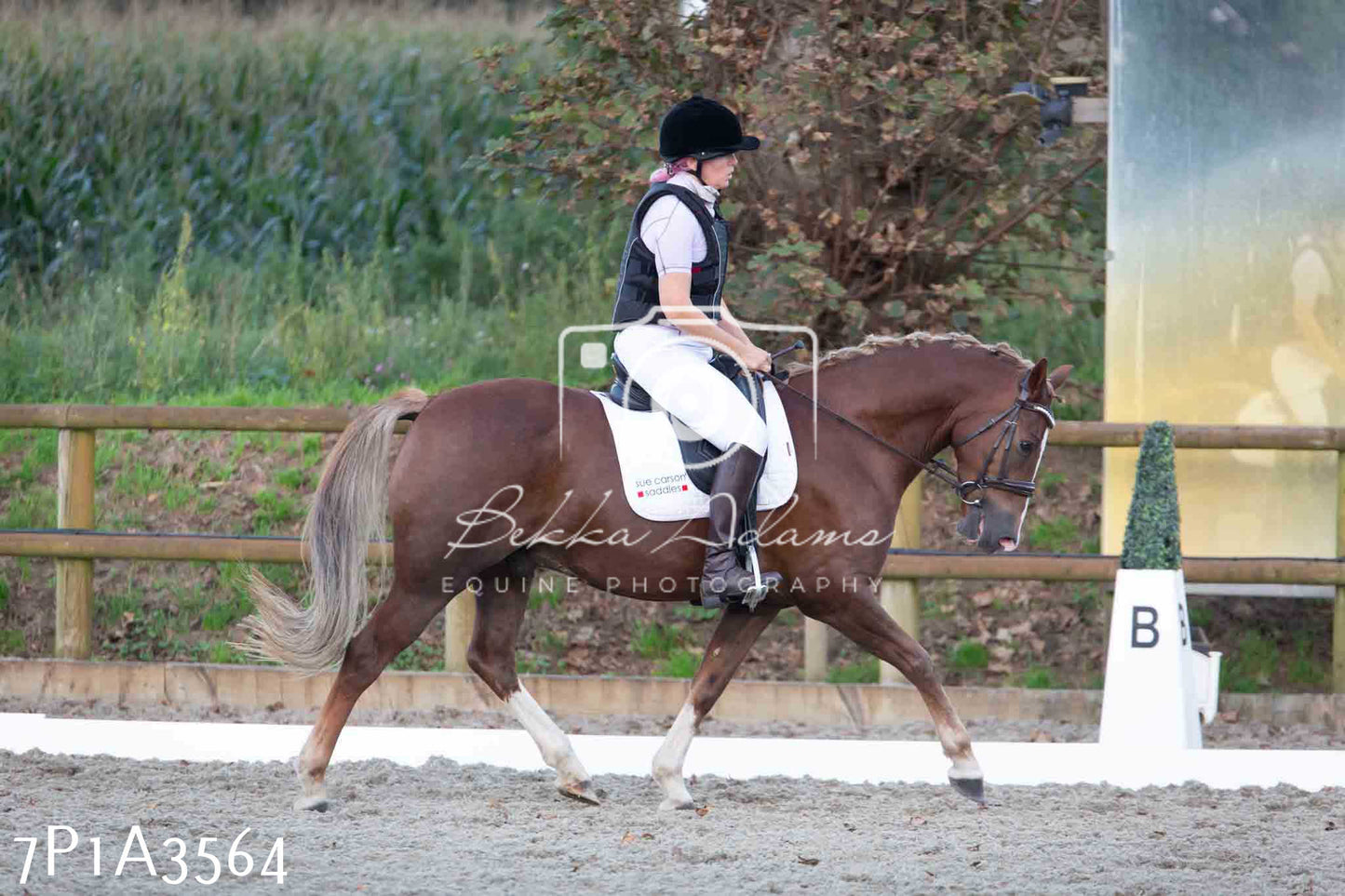 JHOYS 2023 - 8th September - Dressage