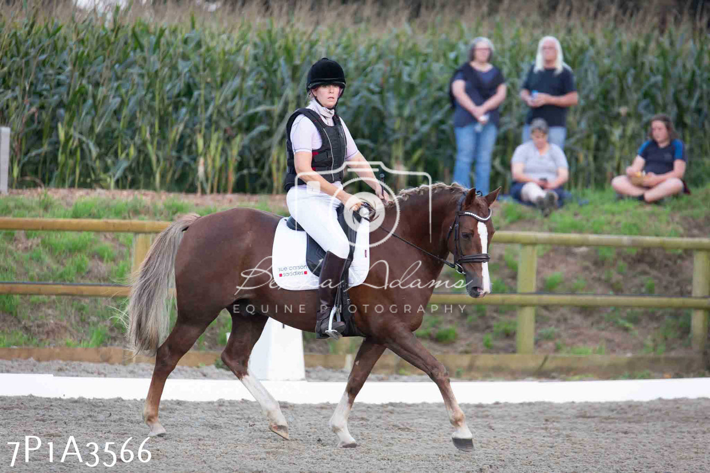 JHOYS 2023 - 8th September - Dressage