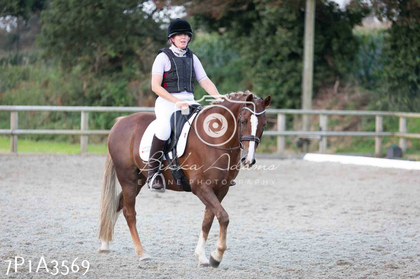 JHOYS 2023 - 8th September - Dressage