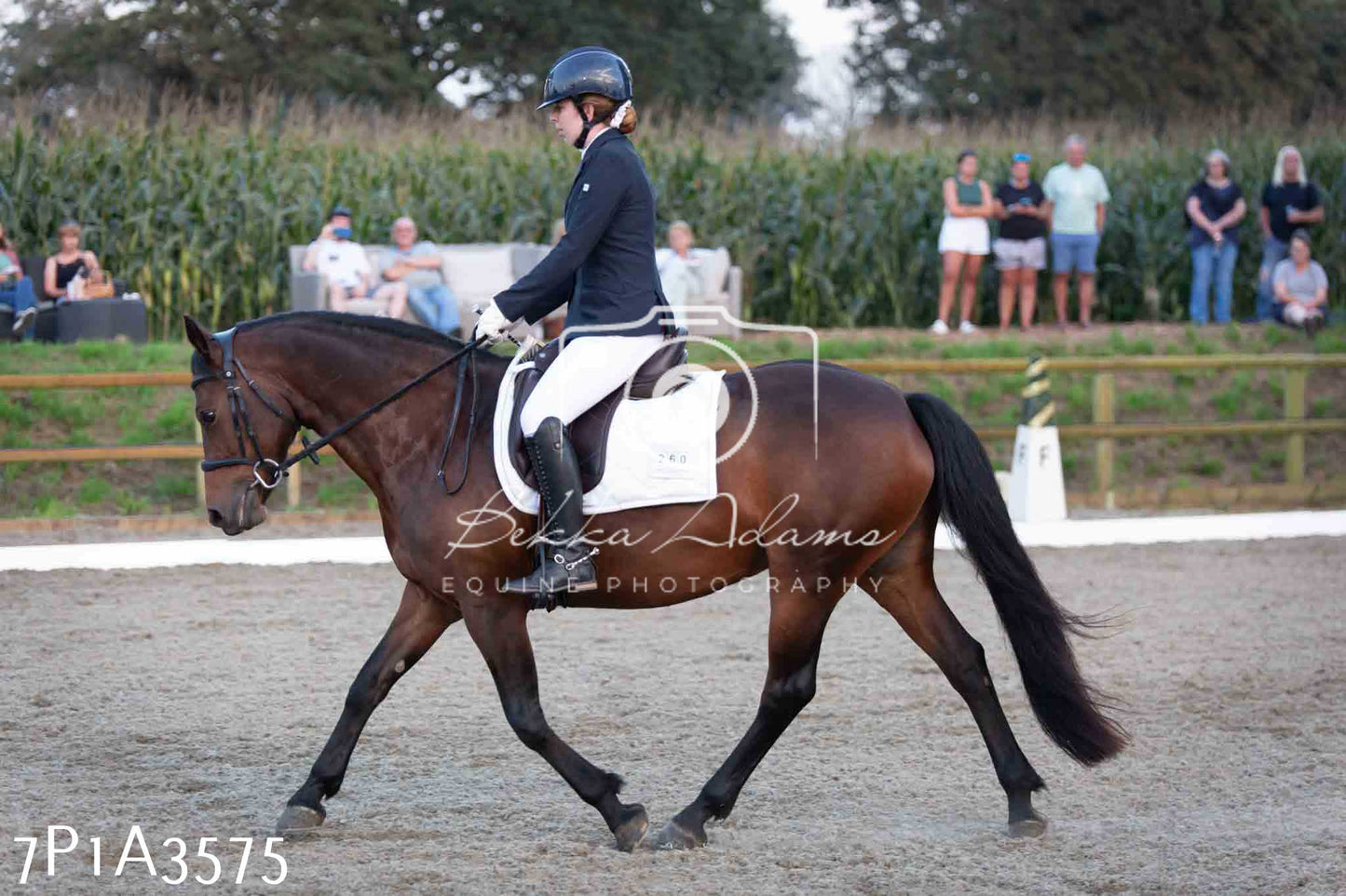 JHOYS 2023 - 8th September - Dressage