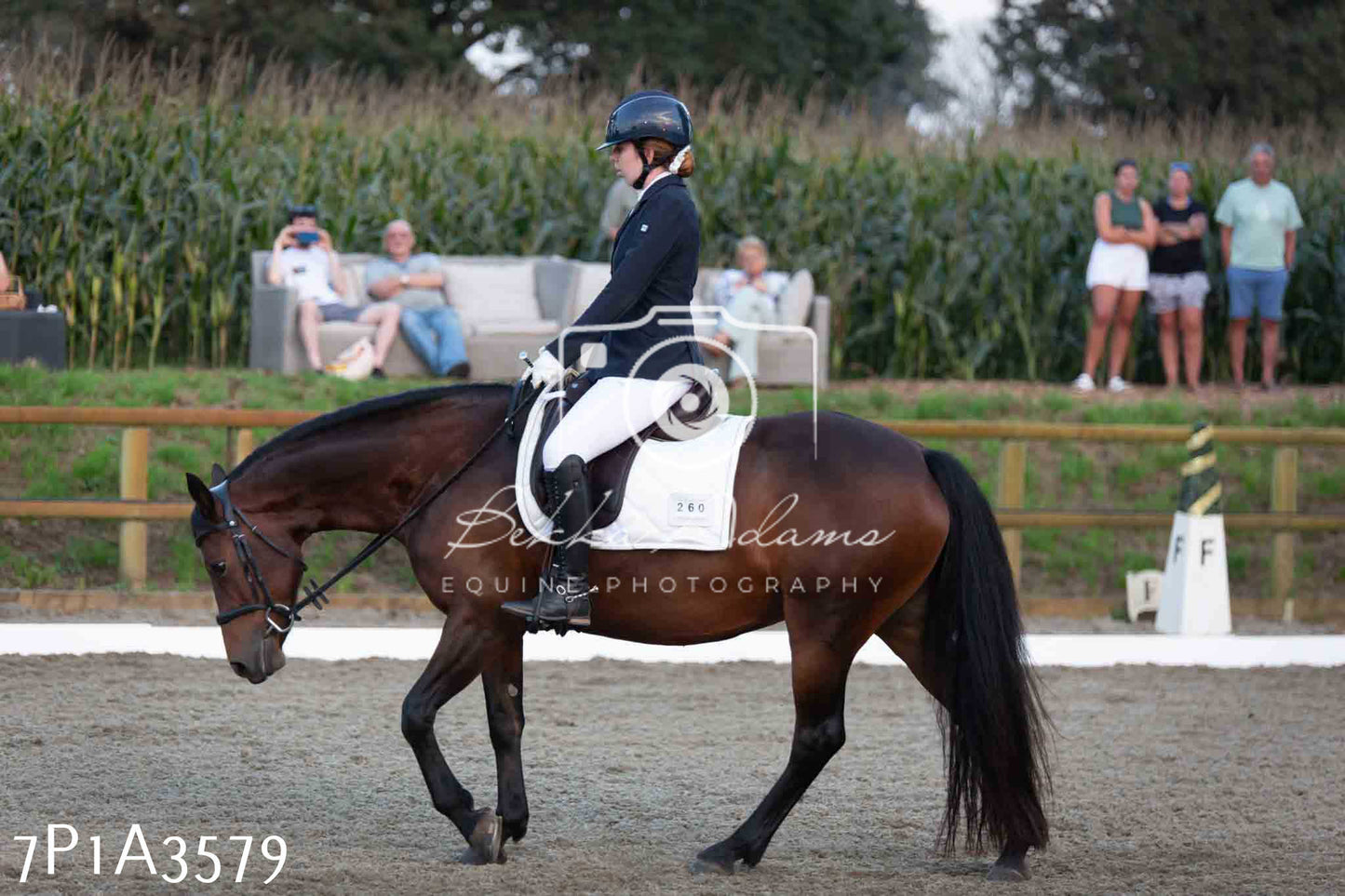 JHOYS 2023 - 8th September - Dressage