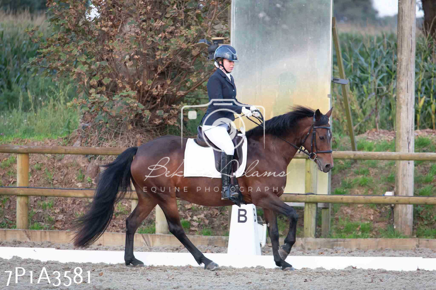 JHOYS 2023 - 8th September - Dressage