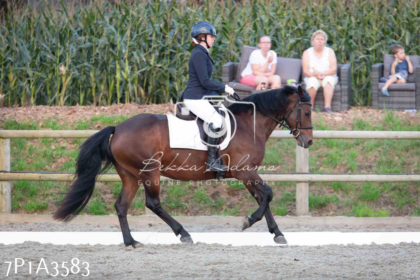 JHOYS 2023 - 8th September - Dressage