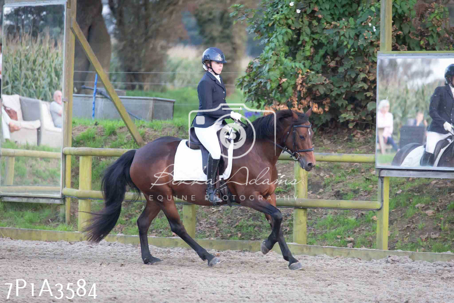 JHOYS 2023 - 8th September - Dressage