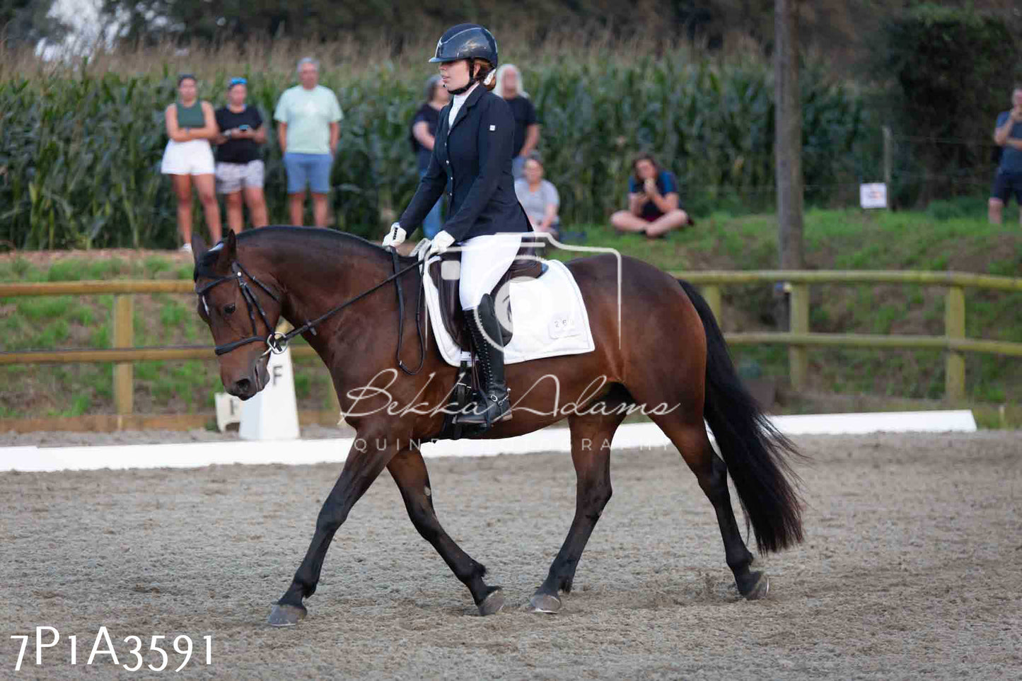 JHOYS 2023 - 8th September - Dressage