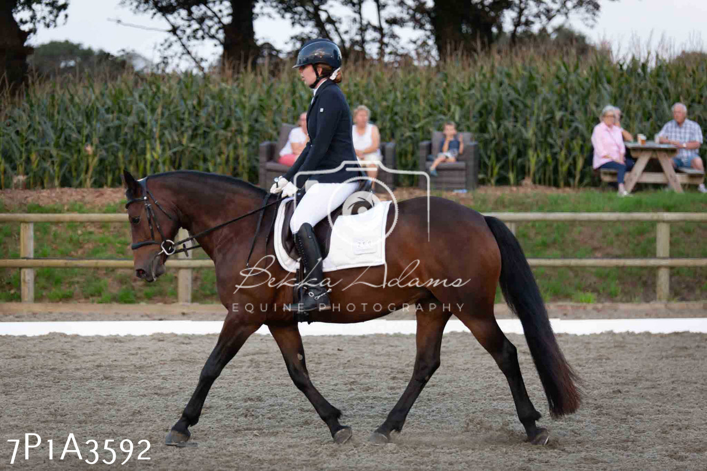 JHOYS 2023 - 8th September - Dressage