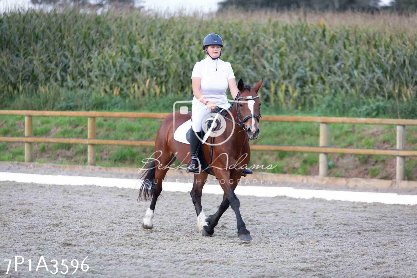 JHOYS 2023 - 8th September - Dressage