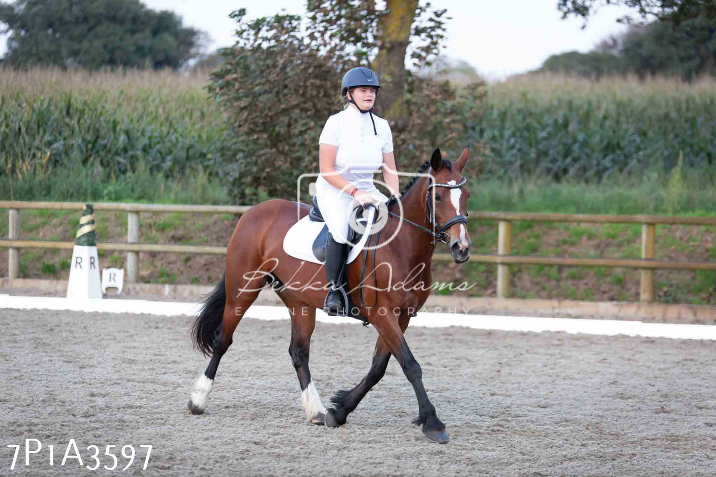 JHOYS 2023 - 8th September - Dressage