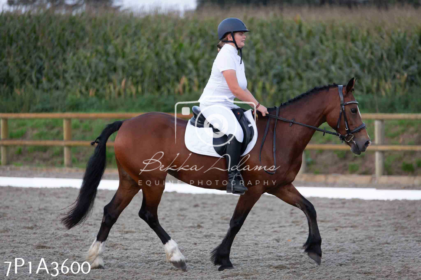 JHOYS 2023 - 8th September - Dressage