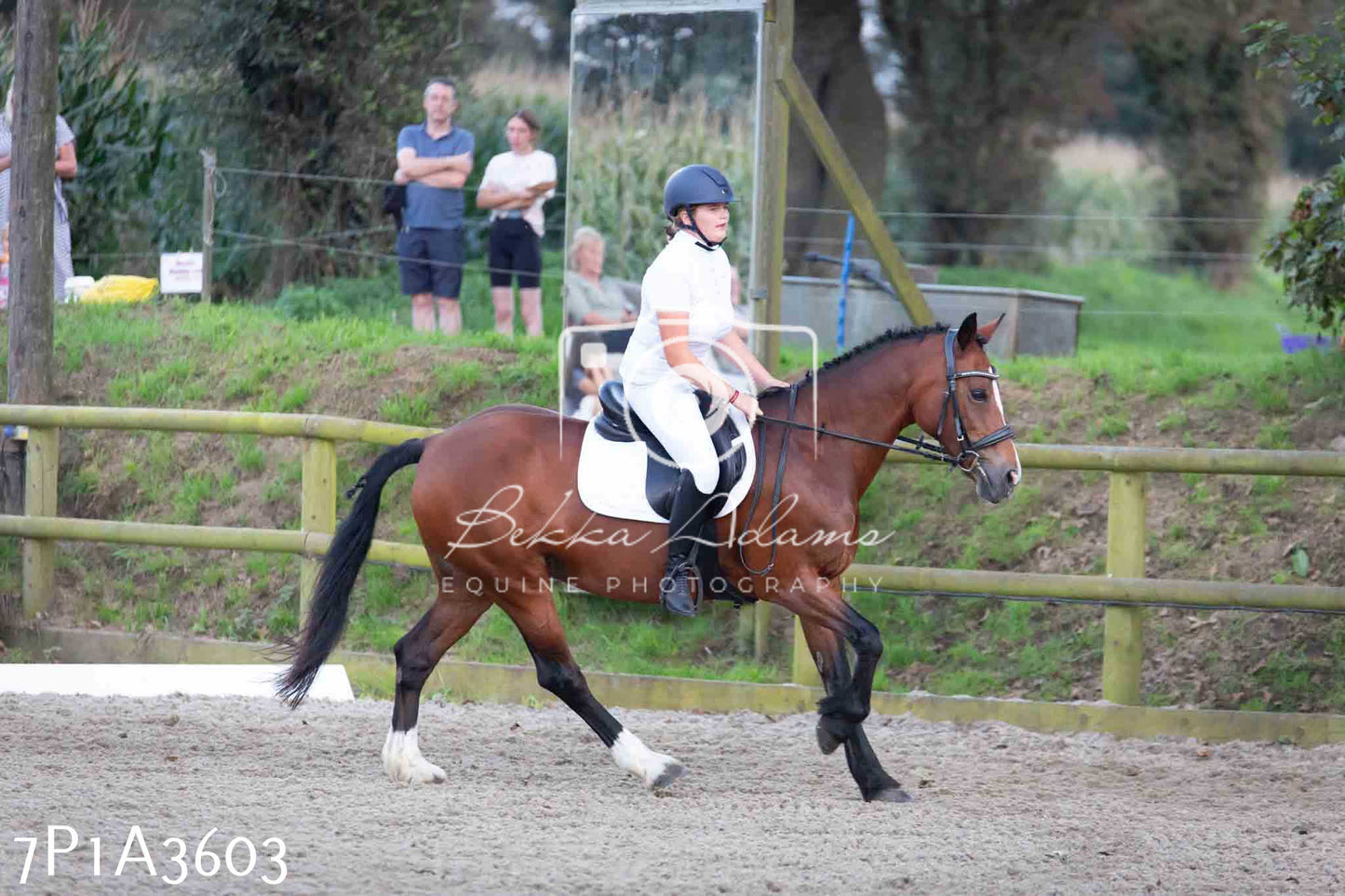 JHOYS 2023 - 8th September - Dressage