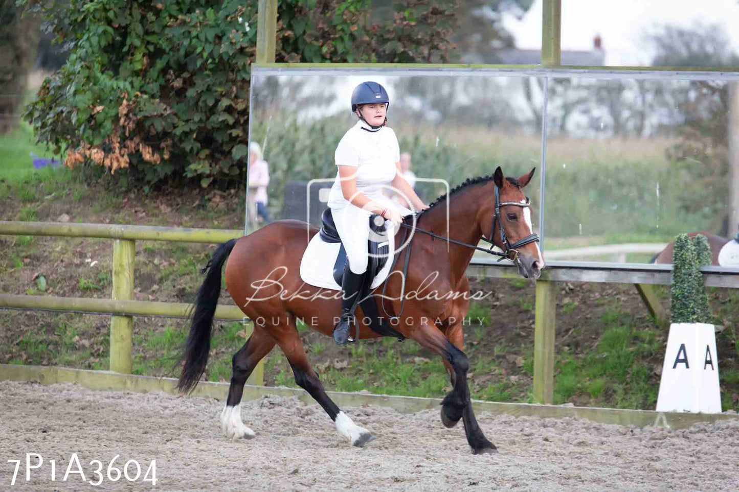 JHOYS 2023 - 8th September - Dressage
