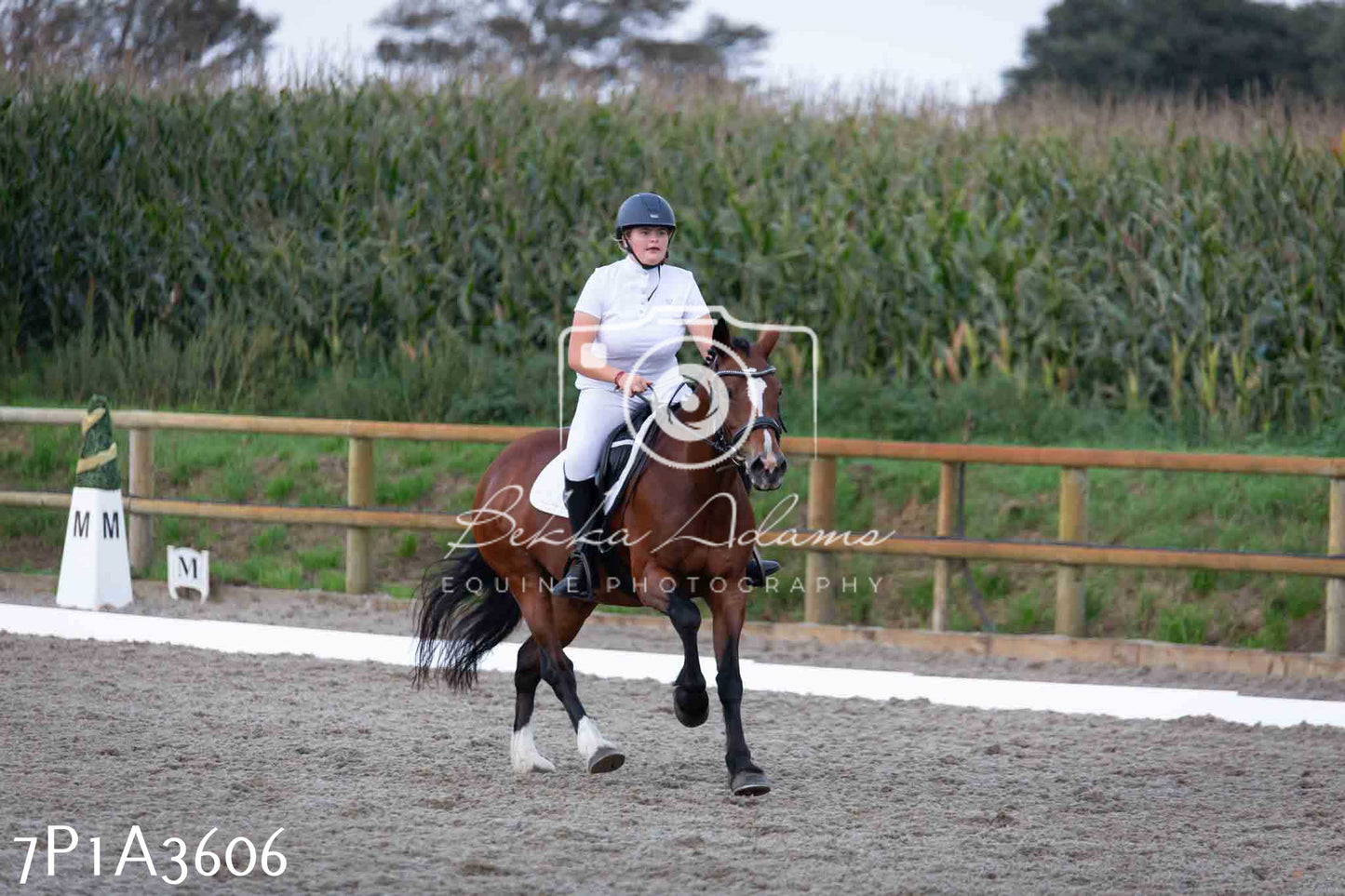 JHOYS 2023 - 8th September - Dressage