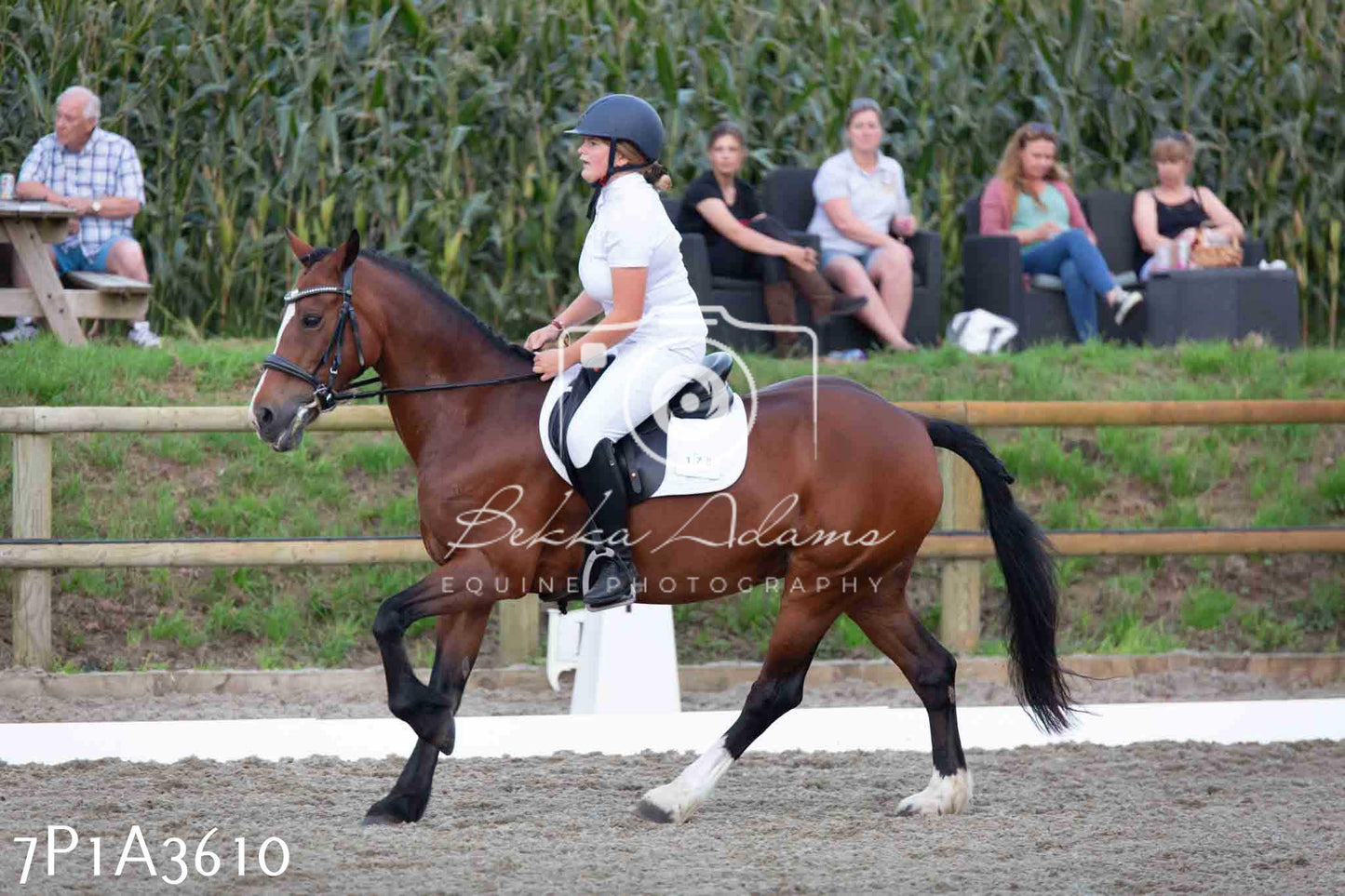 JHOYS 2023 - 8th September - Dressage