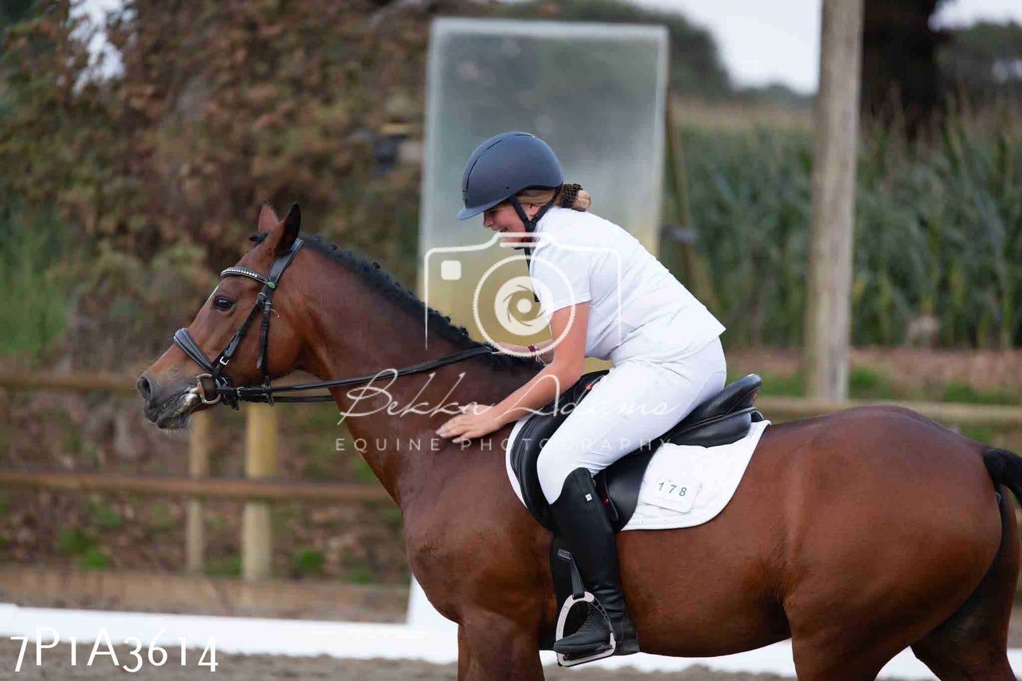 JHOYS 2023 - 8th September - Dressage