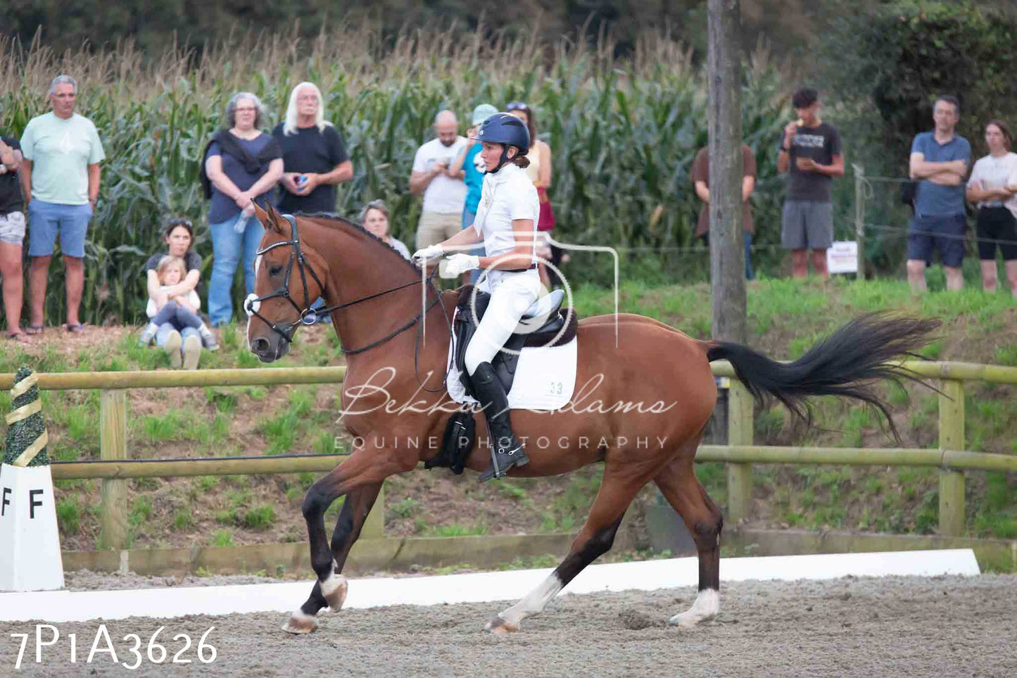 JHOYS 2023 - 8th September - Dressage