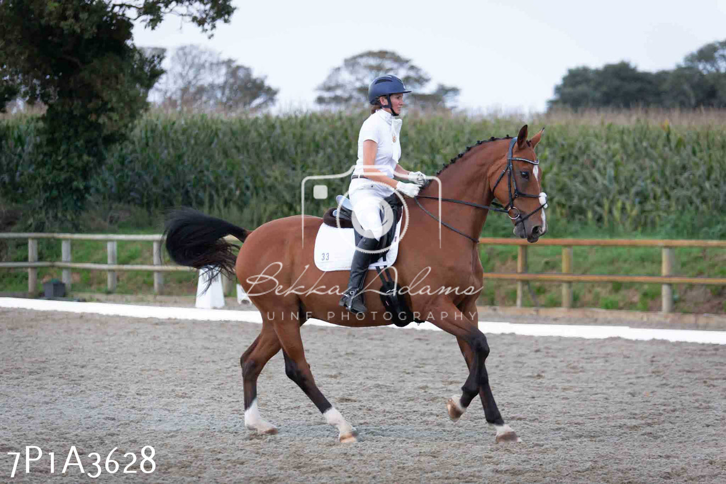 JHOYS 2023 - 8th September - Dressage