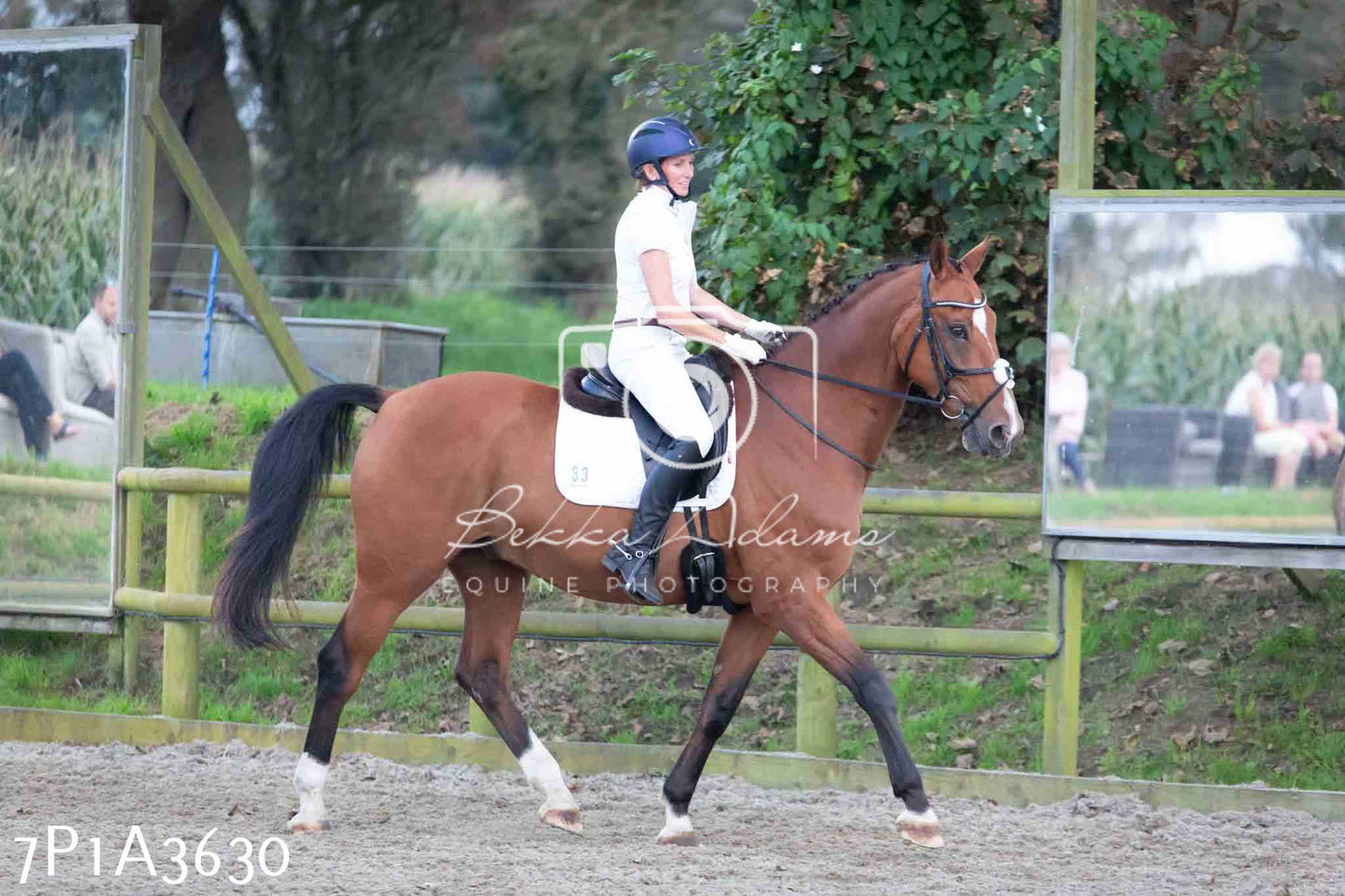 JHOYS 2023 - 8th September - Dressage