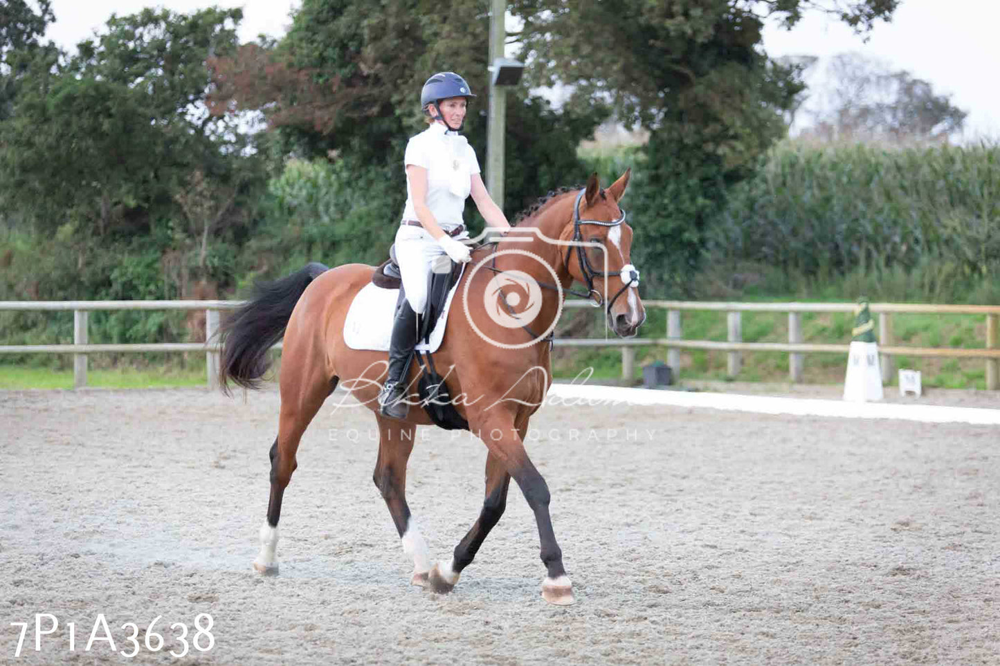 JHOYS 2023 - 8th September - Dressage