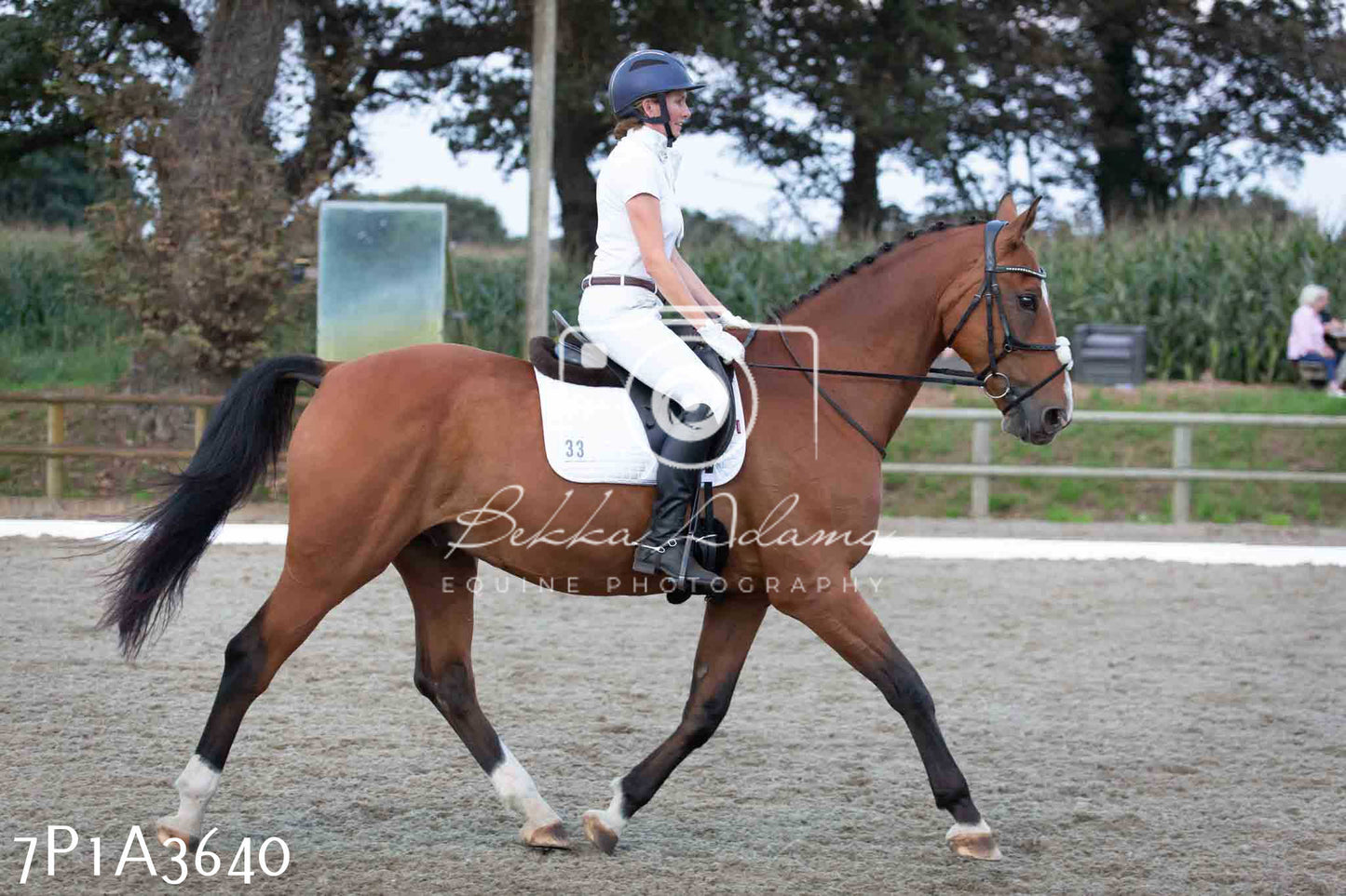 JHOYS 2023 - 8th September - Dressage