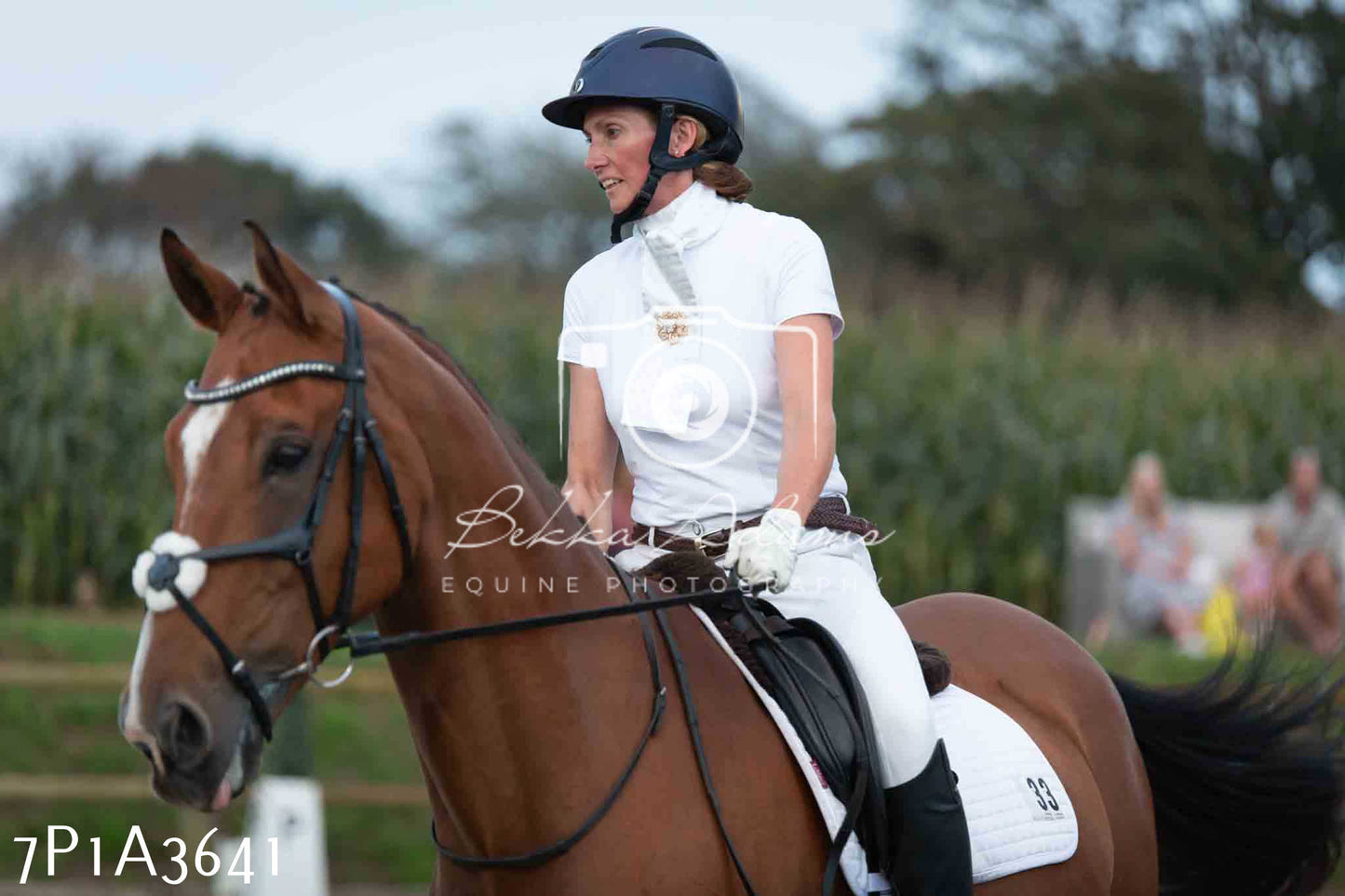 JHOYS 2023 - 8th September - Dressage