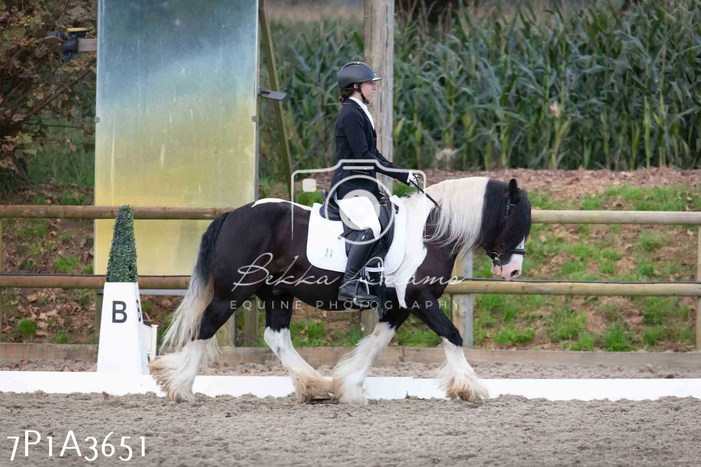 JHOYS 2023 - 8th September - Dressage
