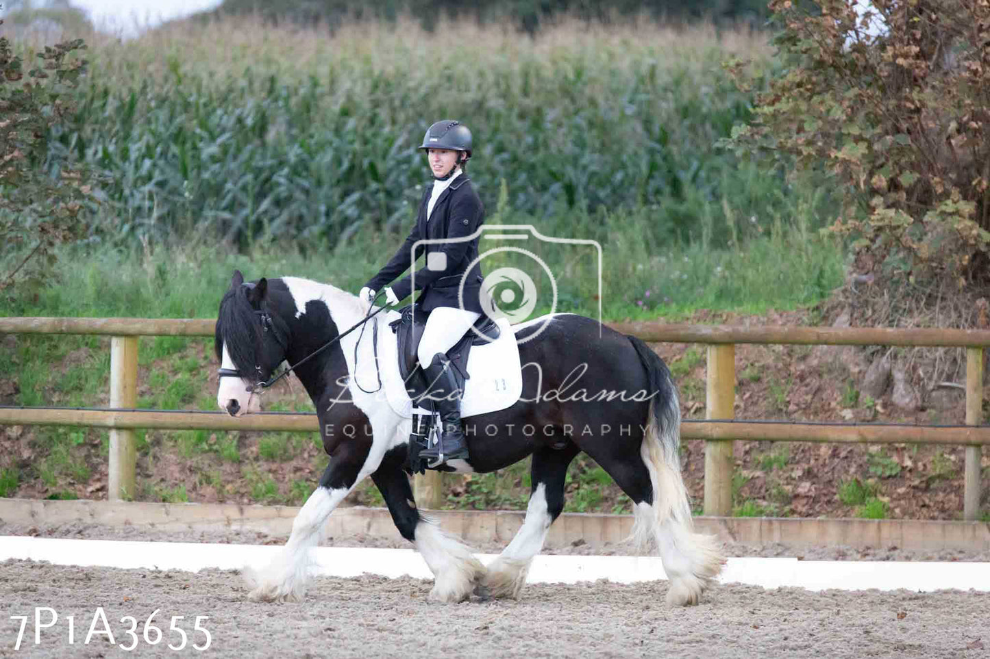 JHOYS 2023 - 8th September - Dressage
