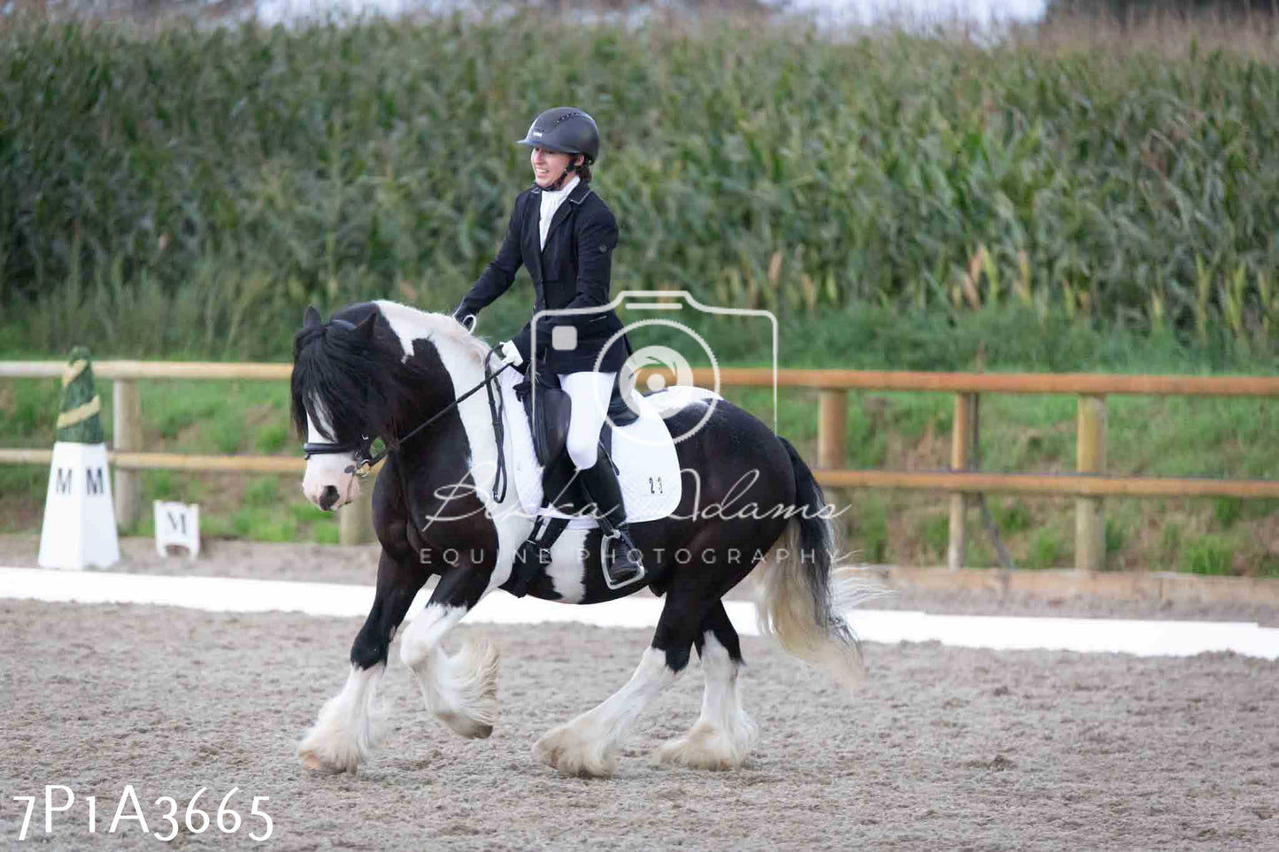 JHOYS 2023 - 8th September - Dressage