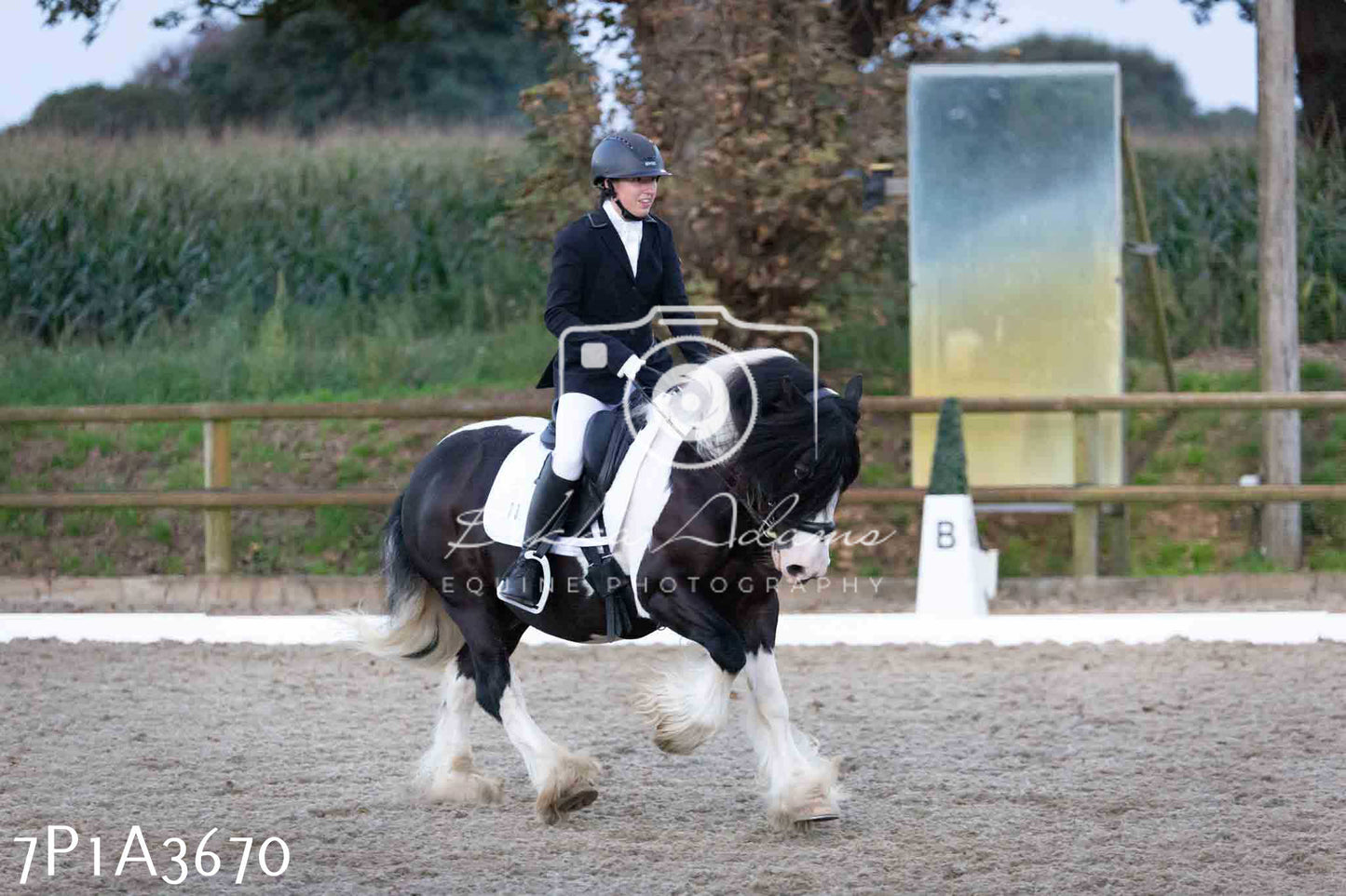 JHOYS 2023 - 8th September - Dressage