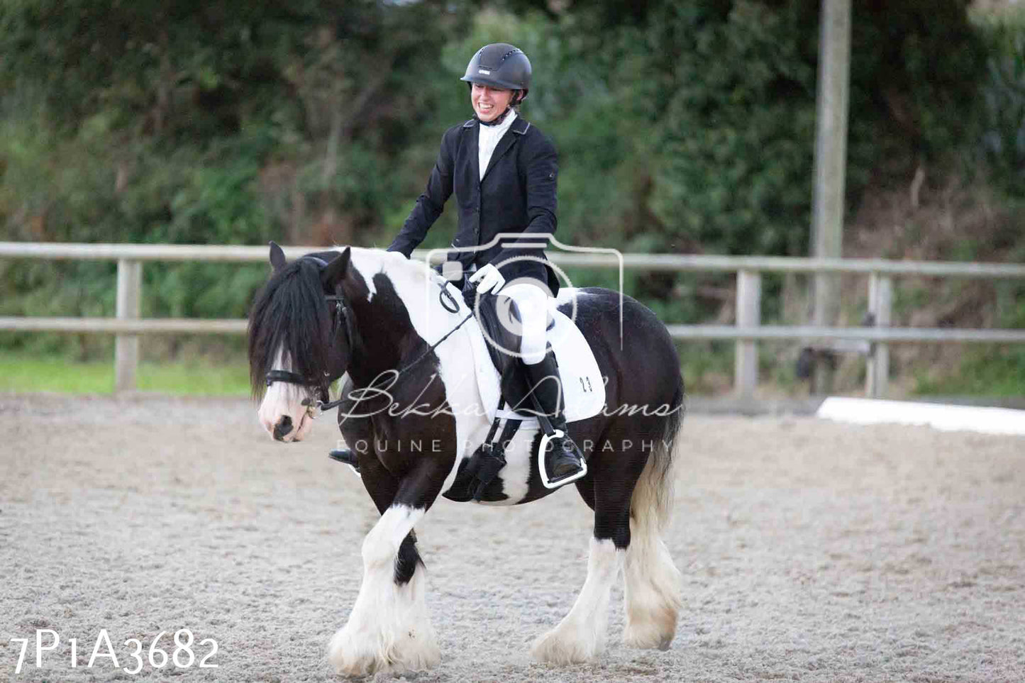 JHOYS 2023 - 8th September - Dressage