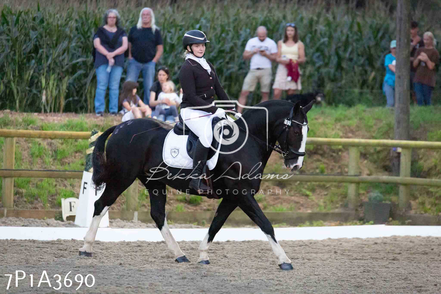 JHOYS 2023 - 8th September - Dressage