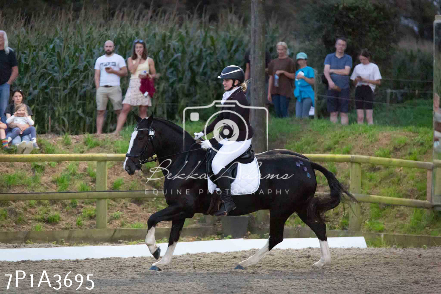 JHOYS 2023 - 8th September - Dressage
