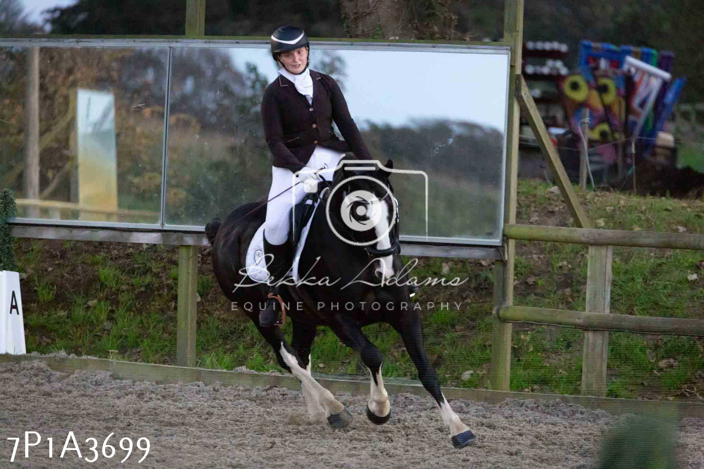 JHOYS 2023 - 8th September - Dressage